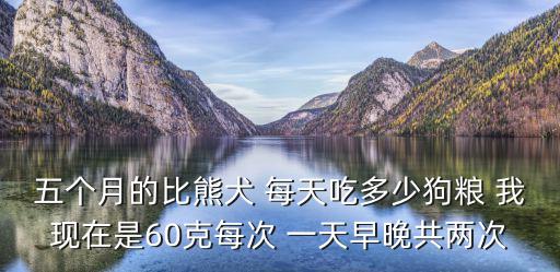五個月的比熊犬 每天吃多少狗糧 我現在是60克每次 一天早晚共兩次