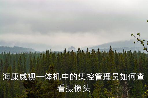 海康威視一體機(jī)中的集控管理員如何查看攝像頭