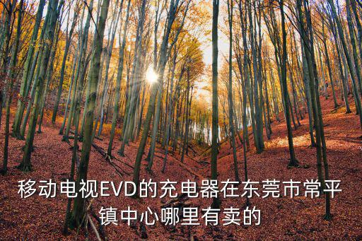 移動(dòng)電視EVD的充電器在東莞市常平鎮(zhèn)中心哪里有賣的