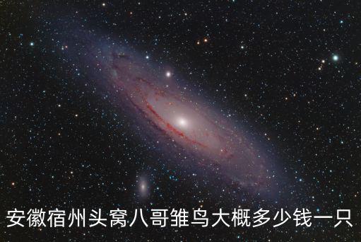 尾窩八哥多少錢一只，八哥現(xiàn)在多少一只了