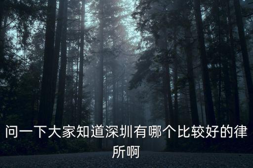 問一下大家知道深圳有哪個比較好的律所啊