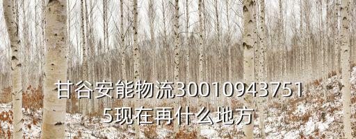 廣州到陜西 安能，廣州到陜西物流有哪些