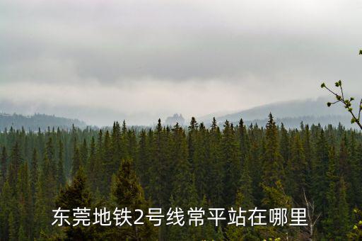 東莞地鐵2號(hào)線(xiàn)常平站在哪里