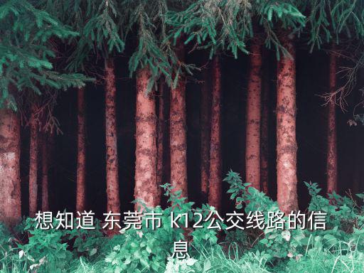 想知道 東莞市 k12公交線路的信息