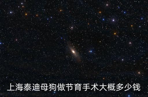 上海泰迪母狗做節育手術大概多少錢