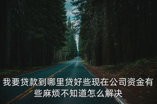 我要貸款到哪里貸好些現(xiàn)在公司資金有些麻煩不知道怎么解決