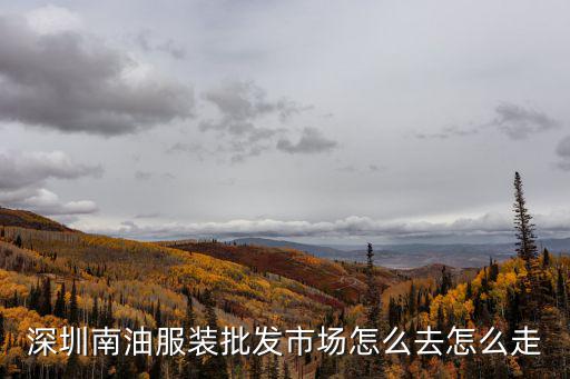 深圳南油服裝批發(fā)市場怎么去怎么走