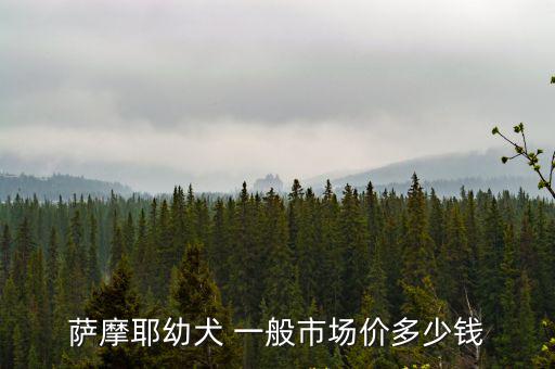 薩摩耶幼犬 一般市場價多少錢