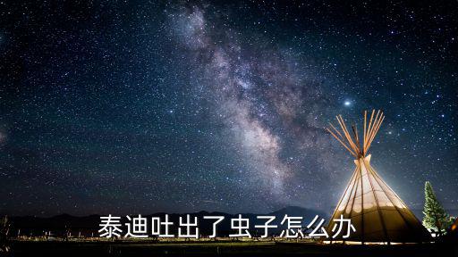 泰迪吐出了蟲子怎么辦