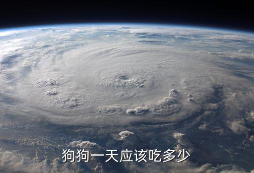 狗狗一天應該吃多少