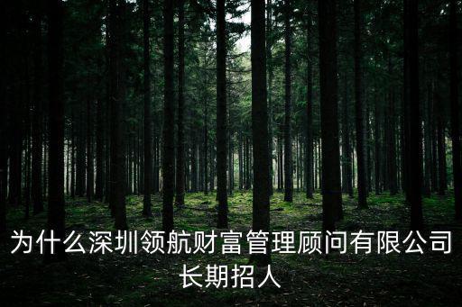 為什么深圳領航財富管理顧問有限公司長期招人