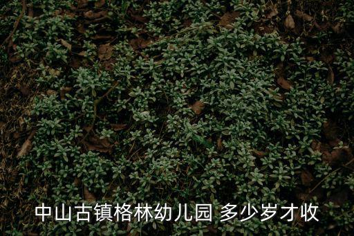 中山古鎮(zhèn)格林幼兒園 多少歲才收