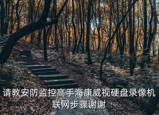 請教安防監控高手?？低曈脖P錄像機聯網步驟謝謝