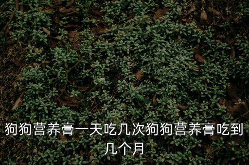狗狗營養膏一天吃幾次狗狗營養膏吃到幾個月