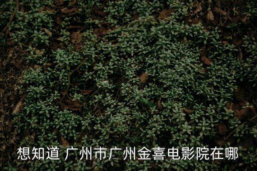 想知道 廣州市廣州金喜電影院在哪
