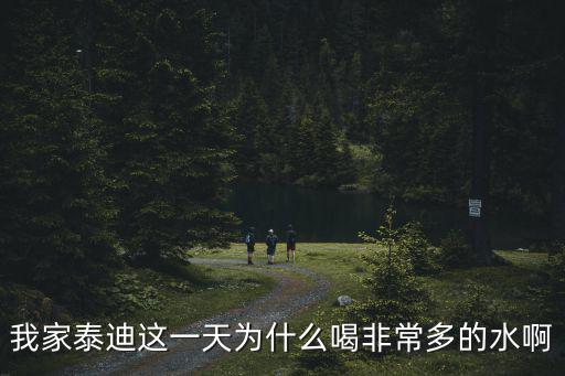 我家泰迪這一天為什么喝非常多的水啊