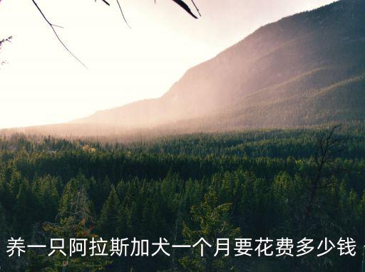 阿拉斯加犬三個月吃多少錢一只，阿拉斯加一個月要吃多少錢