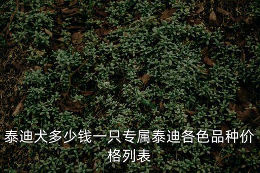 泰迪犬多少錢一只專屬泰迪各色品種價格列表