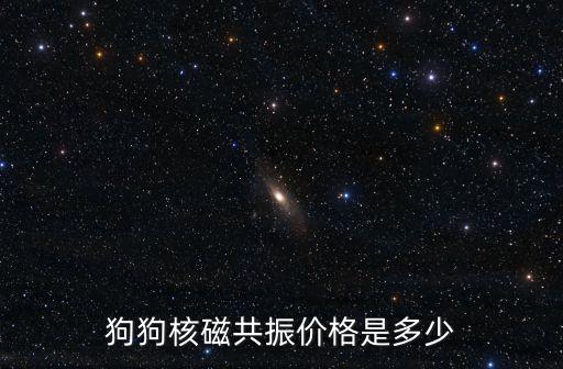 狗狗核磁共振價格是多少