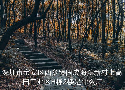 深圳市和誠實業有限公司，深圳市寶安區福永鎮新和一區11巷9號樓201 是一家什么公司 急求答案