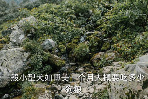 一般小型犬如博美一個月大概要吃多少狗糧
