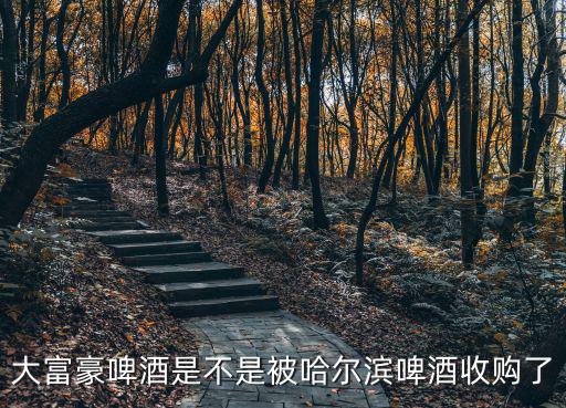 廣州大富豪喝酒，大富豪純生啤酒多少錢