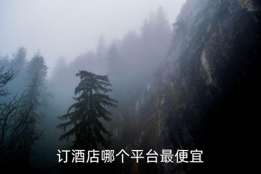 訂酒店哪個平臺最便宜