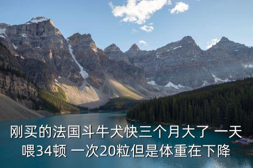 剛買的法國斗牛犬快三個月大了 一天喂34頓 一次20粒但是體重在下降