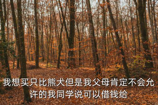 比熊犬3歲的多少錢一只，一只比熊大概要多少錢