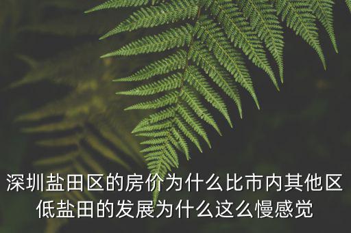 深圳鹽田區的房價為什么比市內其他區低鹽田的發展為什么這么慢感覺