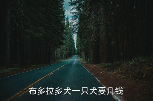 布多拉多犬一只犬要幾錢