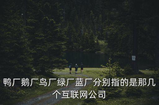 深圳貓廠總部是個什么公司，深圳前海全球貓電子商務有限公司怎么樣