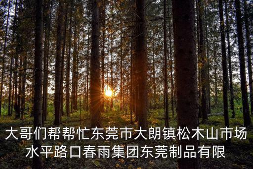 大哥們幫幫忙東莞市大朗鎮松木山市場水平路口春雨集團東莞制品有限