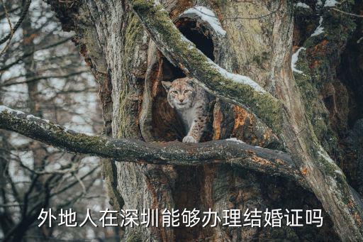 廣東其他地區能在深圳領結婚證嗎，外地戶口可以在深圳領證結婚嗎