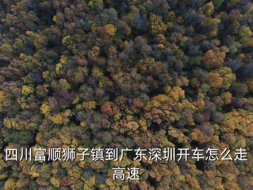 四川富順獅子鎮到廣東深圳開車怎么走高速