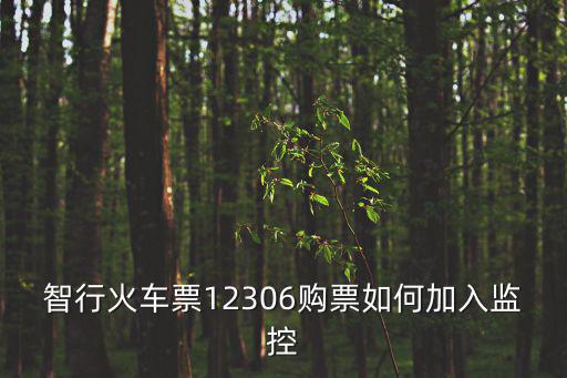 智行火車票12306購(gòu)票如何加入監(jiān)控