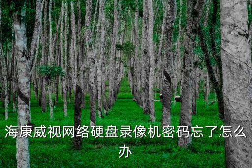 ?？低暰W(wǎng)絡(luò)硬盤錄像機密碼忘了怎么辦