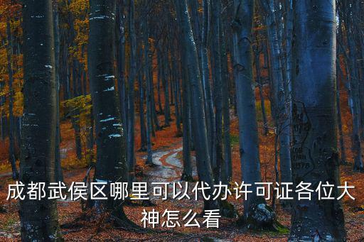 成都武侯區哪里可以代辦許可證各位大神怎么看