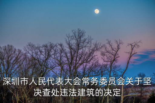 深圳市治理違法建設調研，深圳市人民代表大會常務委員會關于堅決查處違法建筑的決定
