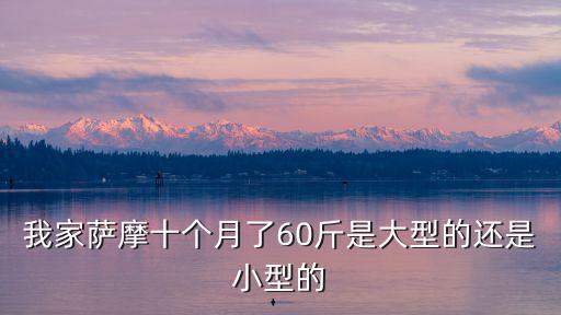 我家薩摩十個(gè)月了60斤是大型的還是小型的