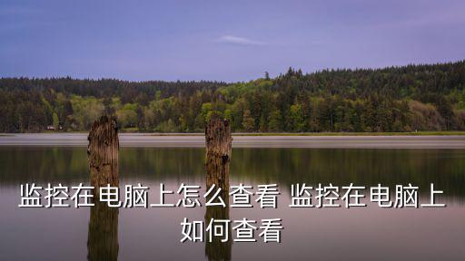 監控在電腦上怎么查看 監控在電腦上如何查看