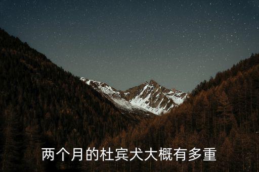 兩個月的杜賓犬大概有多重