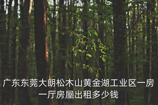 廣東東莞大朗松木山黃金湖工業區一房一廳房屋出租多少錢