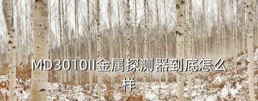 MD3010II金屬探測器到底怎么樣