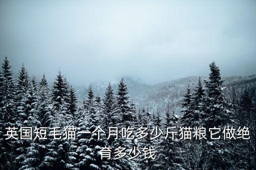 英國短毛貓一個月吃多少斤貓糧它做絕育多少錢