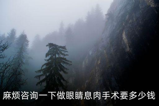 麻煩咨詢一下做眼睛息肉手術要多少錢