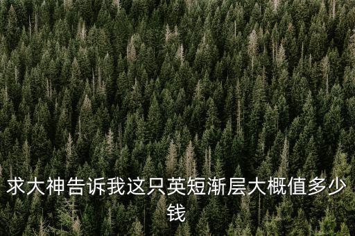 英短金漸層貓多少錢，英短漸層貓 多少錢合適