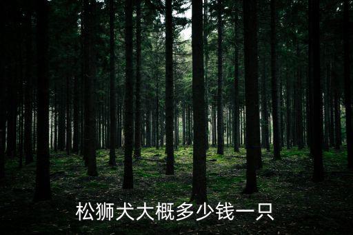 4歲的母松獅犬多少錢，松獅寶寶一只大概多少錢