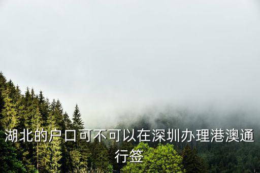 湖北的戶口可不可以在深圳辦理港澳通行簽