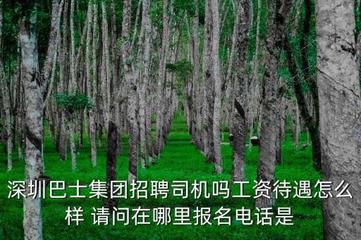 深圳巴士集團招聘司機嗎工資待遇怎么樣 請問在哪里報名電話是